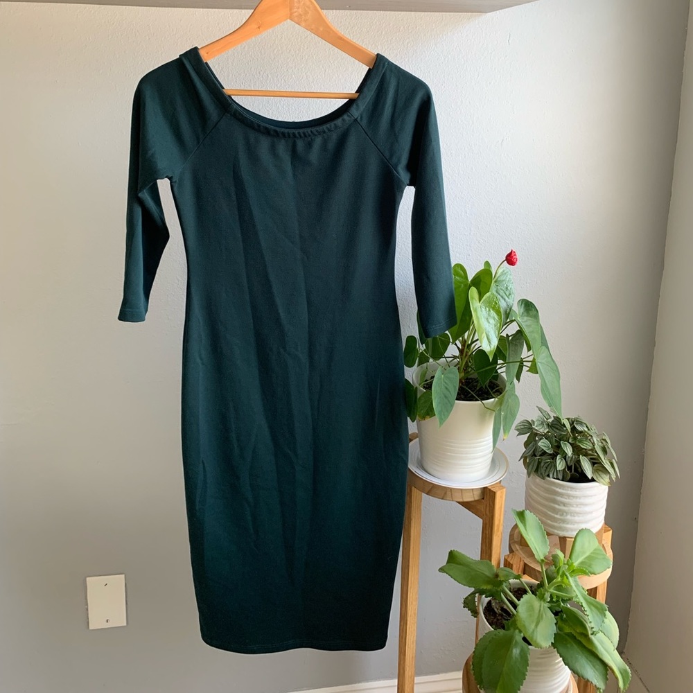 Zara Fall Collection Dress
